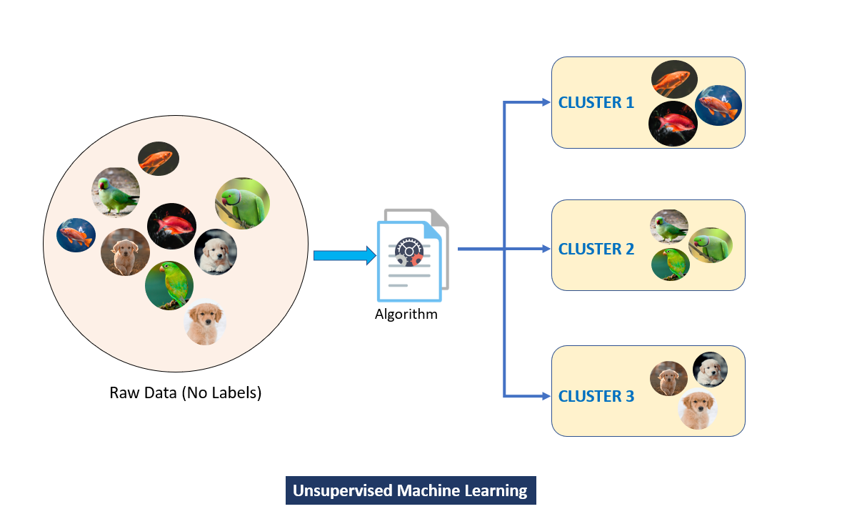 clustering unsupervised learning